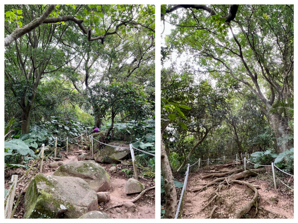 台北大縱走第一段忠義山步道