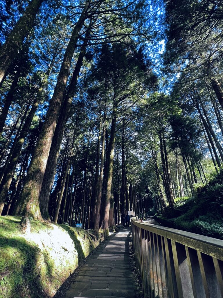 木棧道