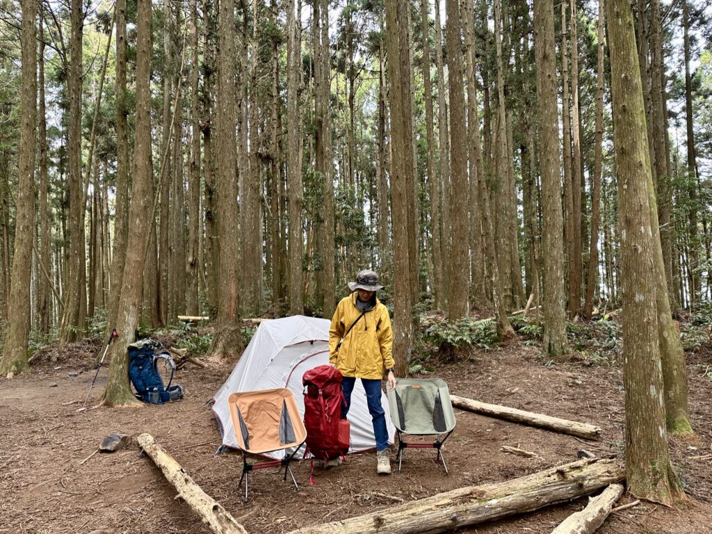 高島縱走柳杉林營地