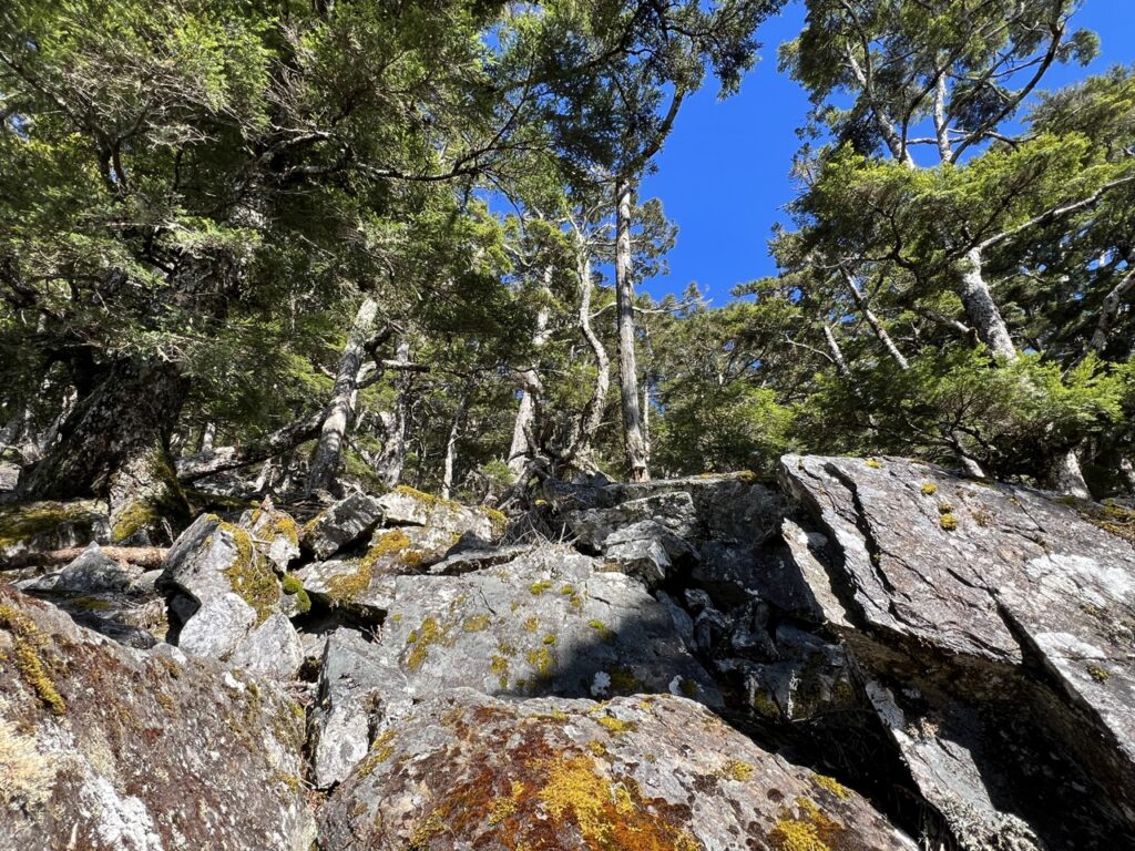 南橫溪頭山大石塊