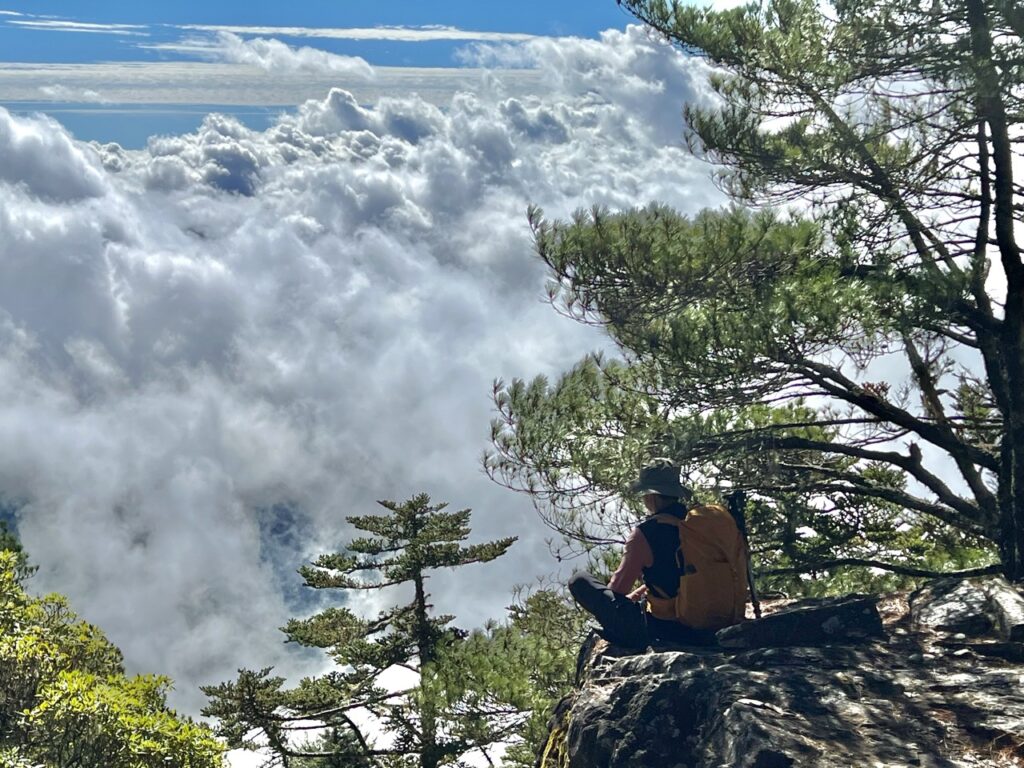 南橫溪頭山大石塊雲海