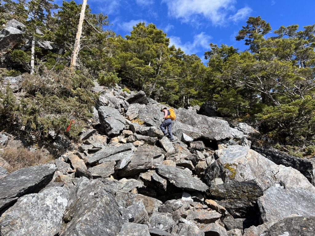 南橫溪頭山大石塊上坡