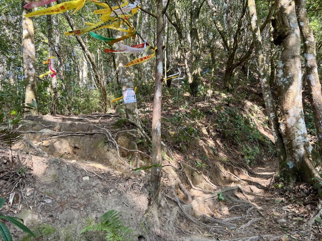 高島縱走Ｐ型交會點