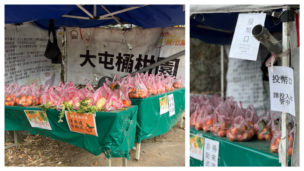 台北大縱走第一段柑園
