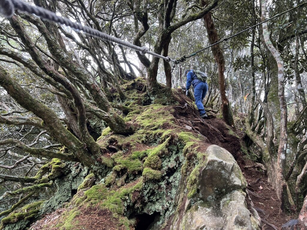 高島縱走攀繩