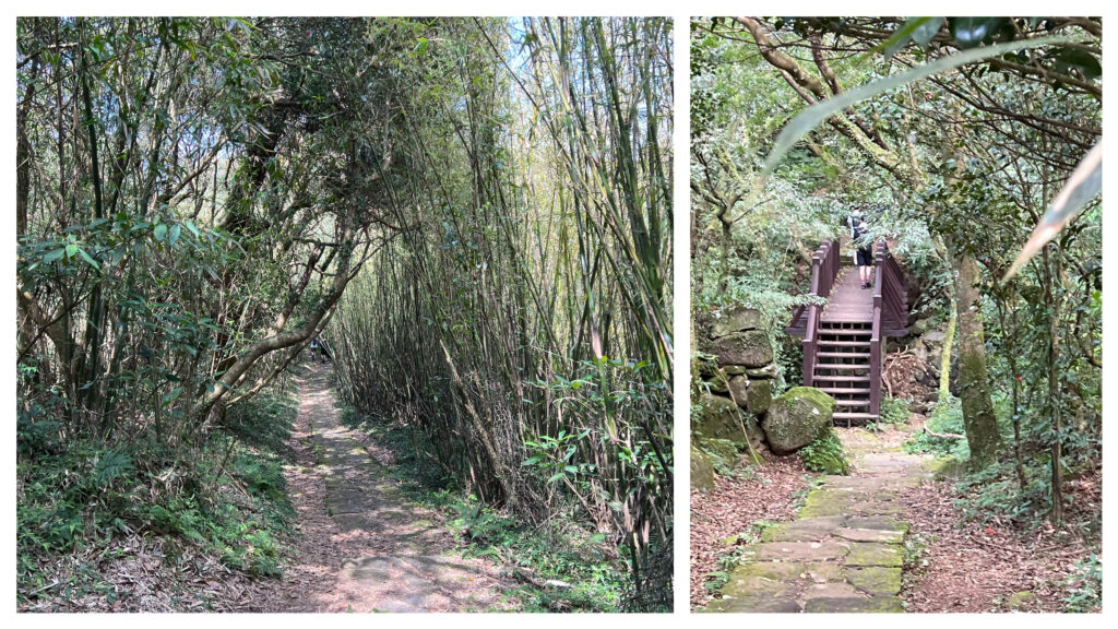 台北大縱走第一段五感體驗