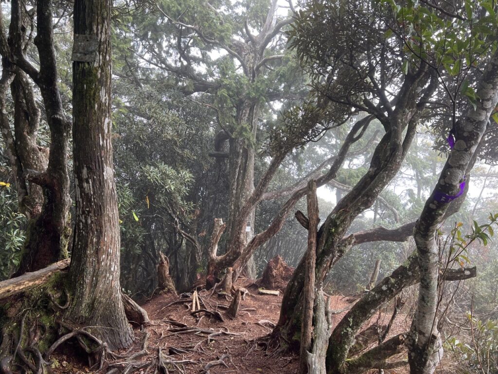 高島縱走