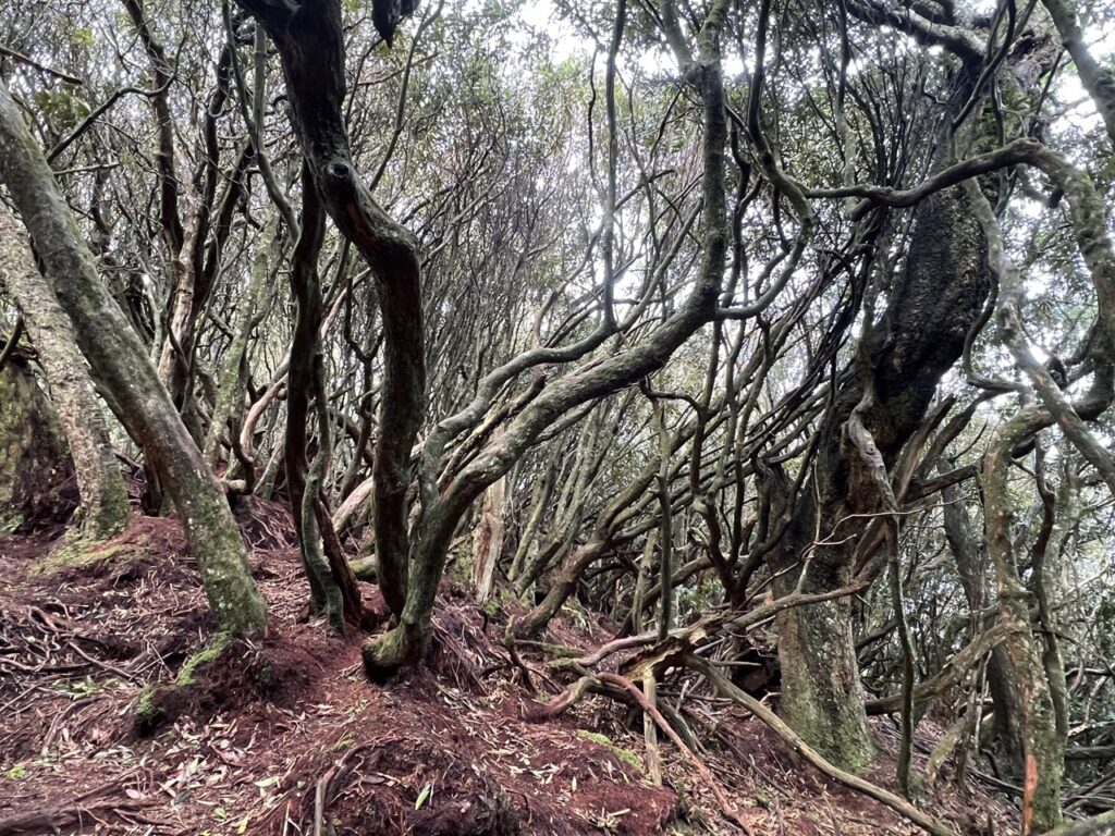高島縱走