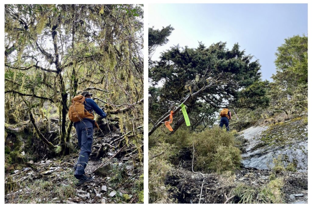 溪頭山往關山嶺山陡上