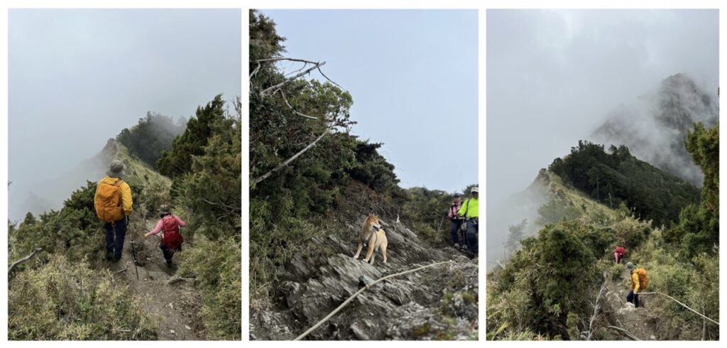 關山嶺山回程下切