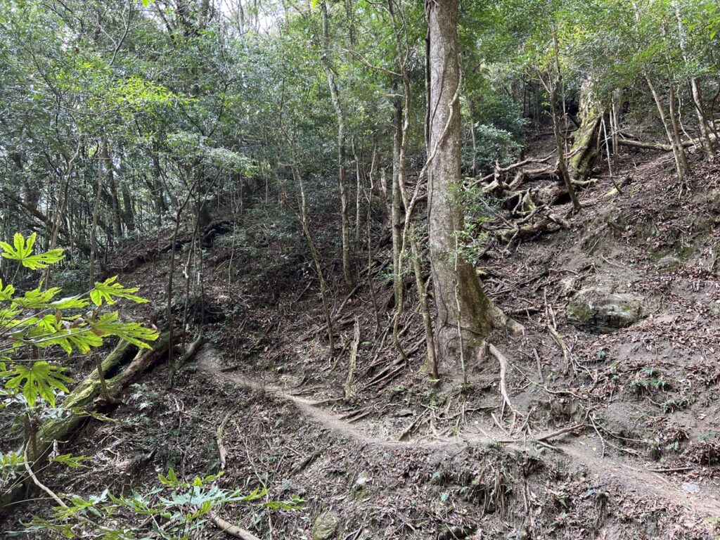 高島縱走腰繞路