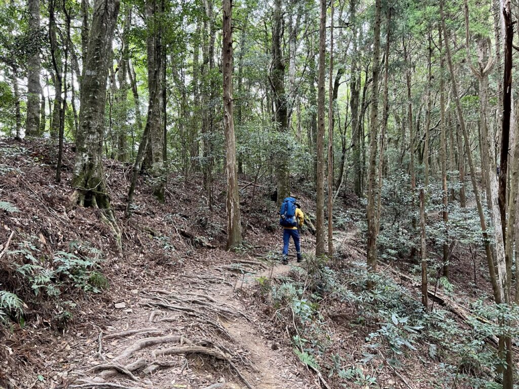 高島縱走