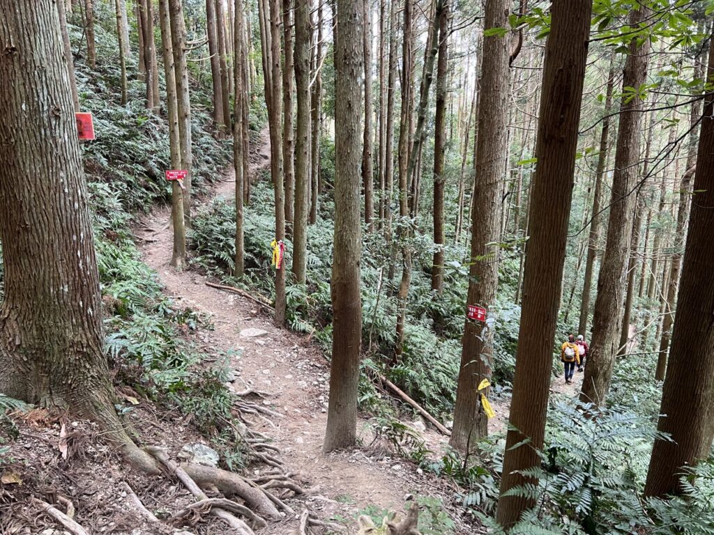 高島縱走第一第二登山口岔路