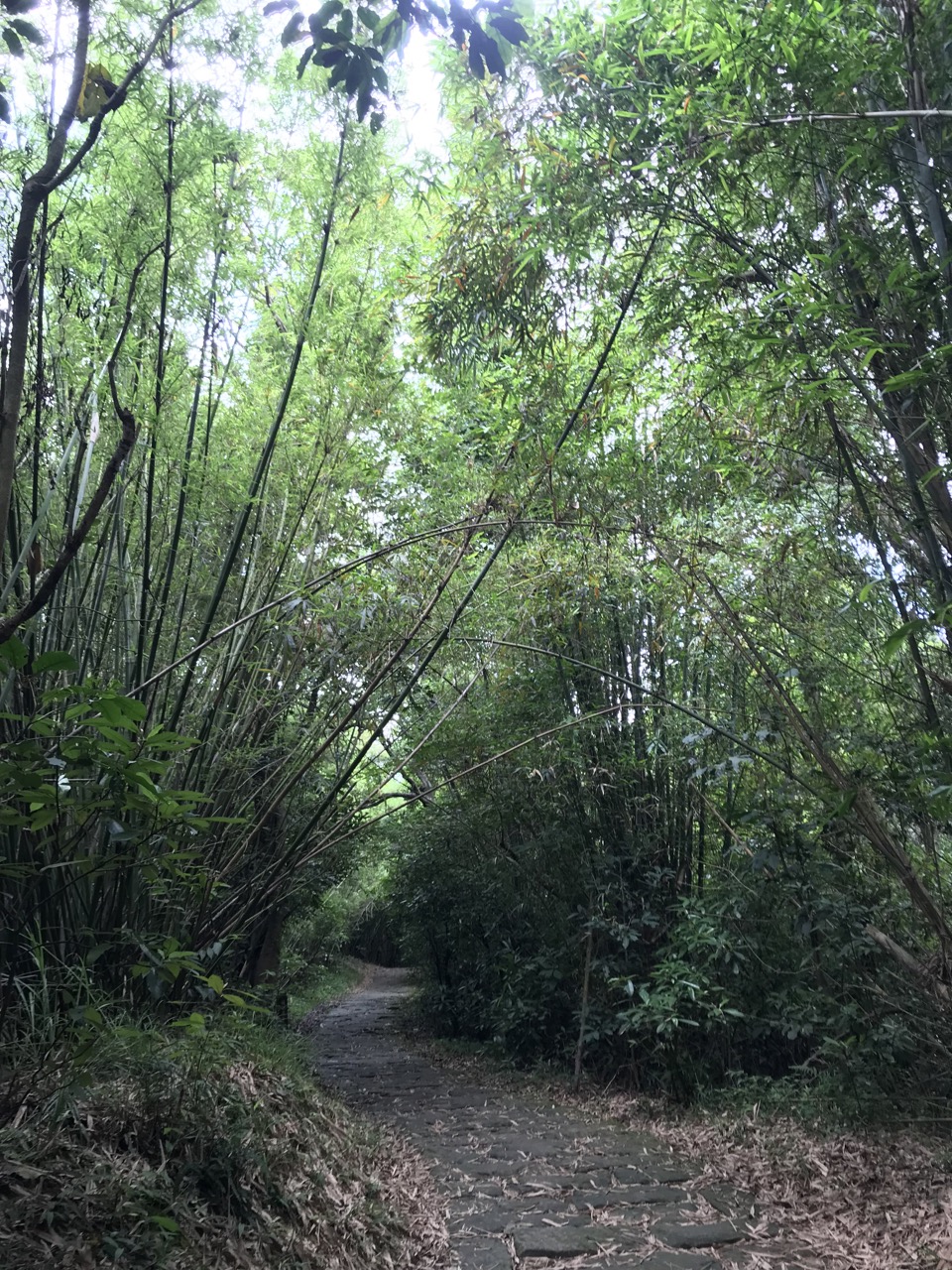 台北大縱走第五段