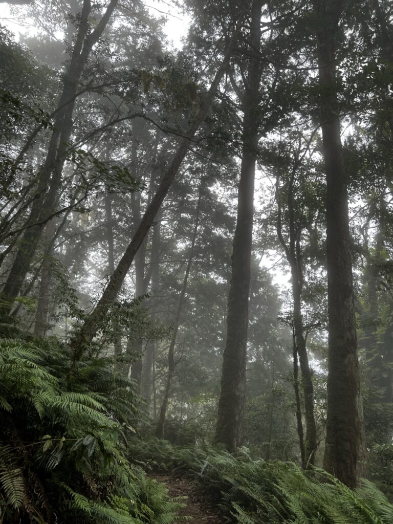 加羅湖