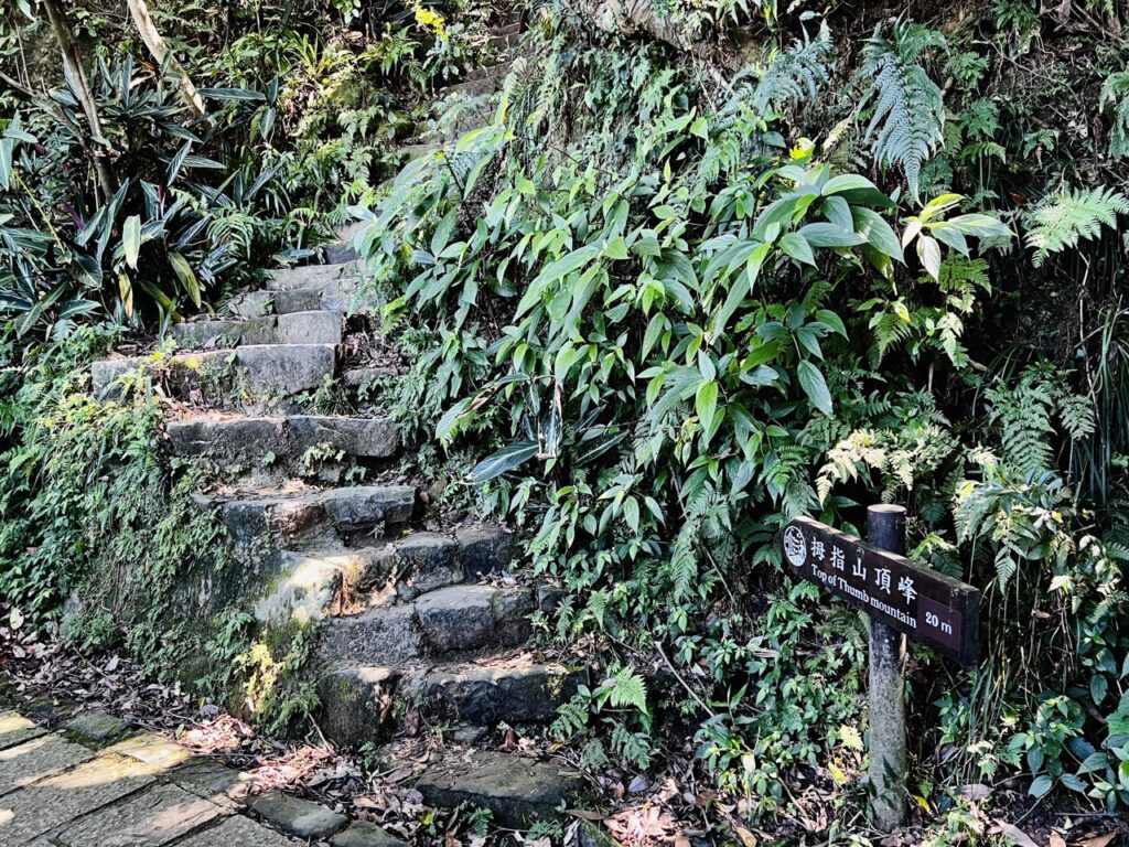 拇指山頂峰