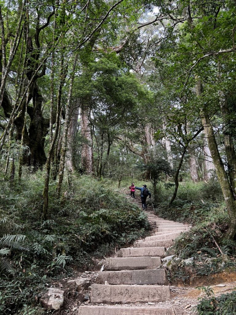 塔關山登山口