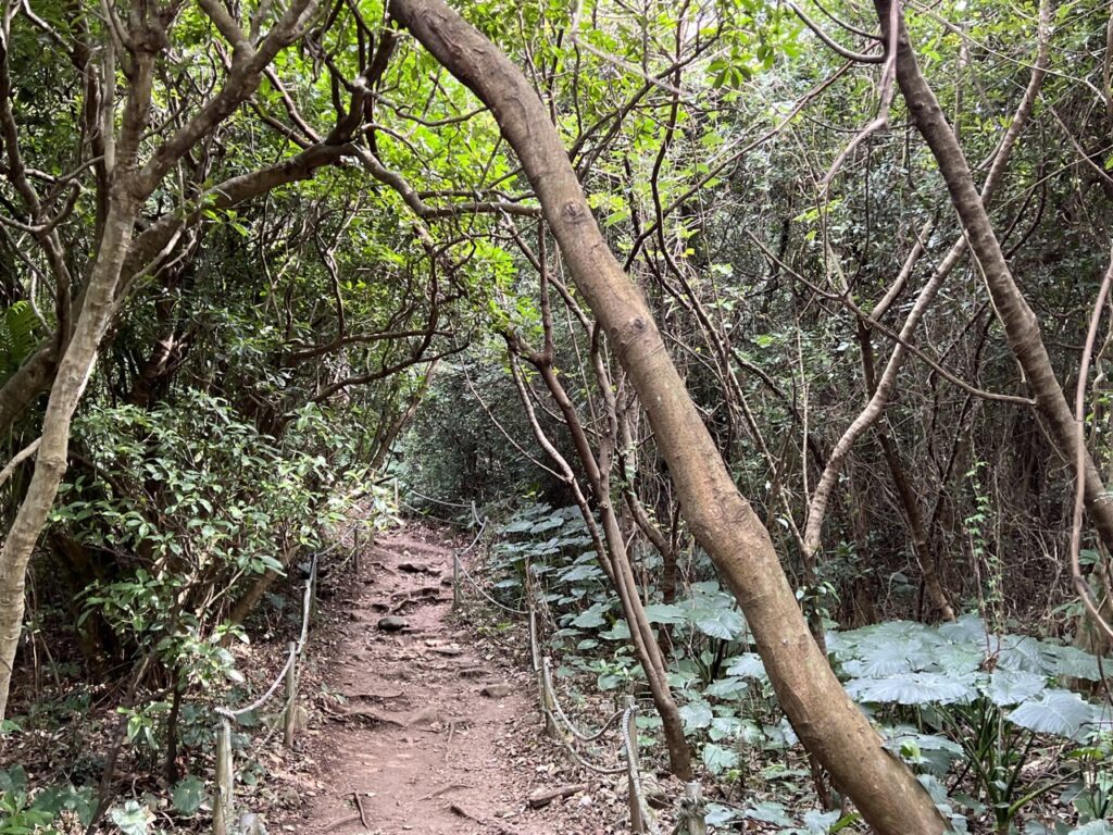 台北大縱走第一段忠義山步道
