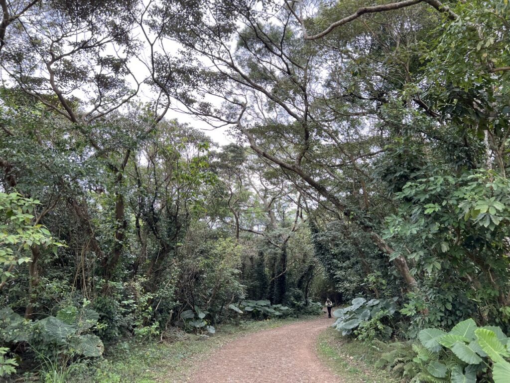 台北大縱走第一段忠義山步道