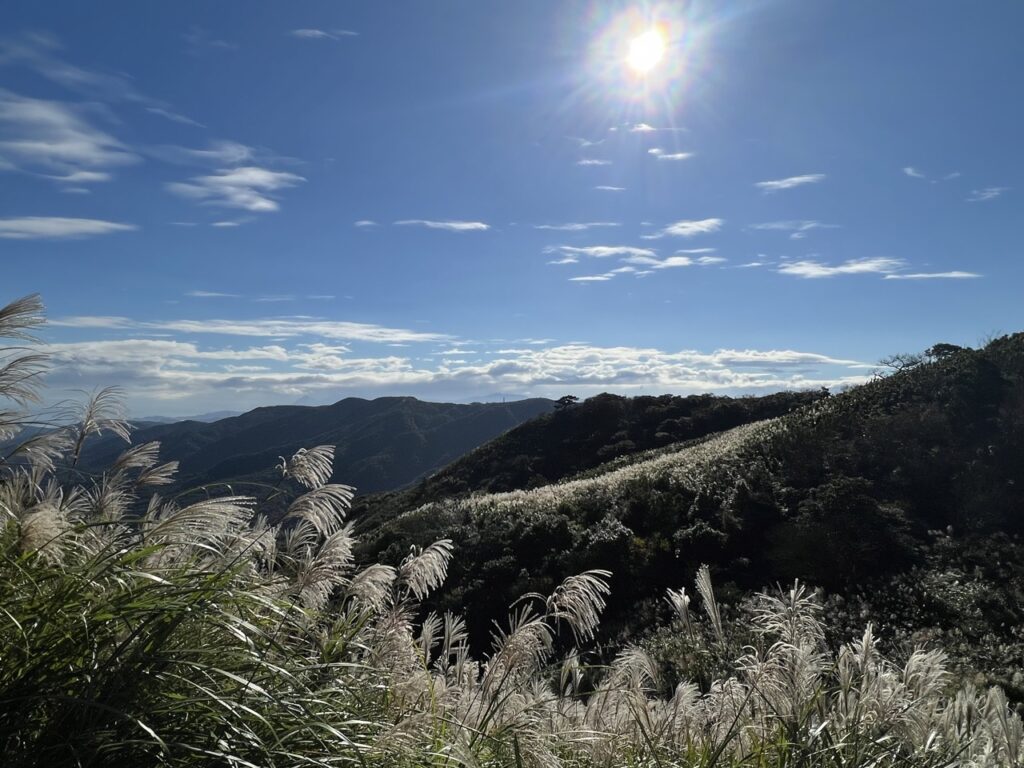 臺北大縱走第三段芒草