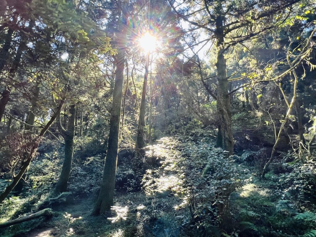 臺北大縱走第三段