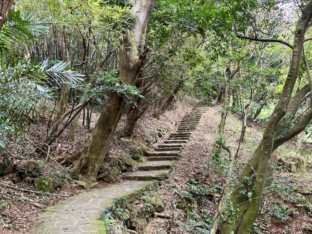 台北大縱走第一段