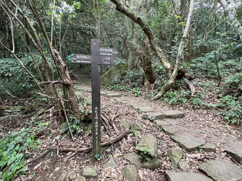 台北大縱走第一段面天山步道