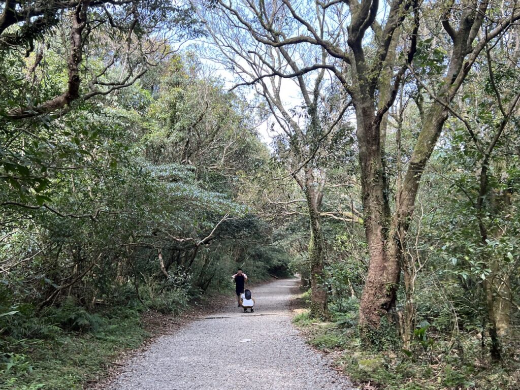 台北大縱走第一段往二子坪