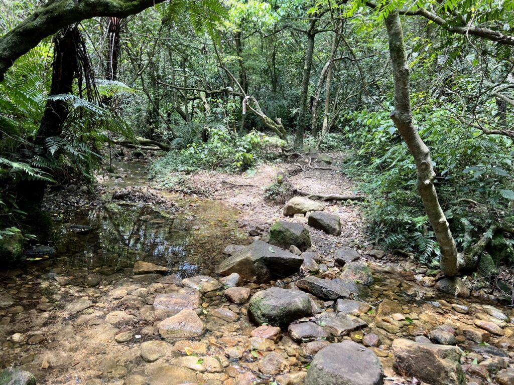 台北大縱走第四段