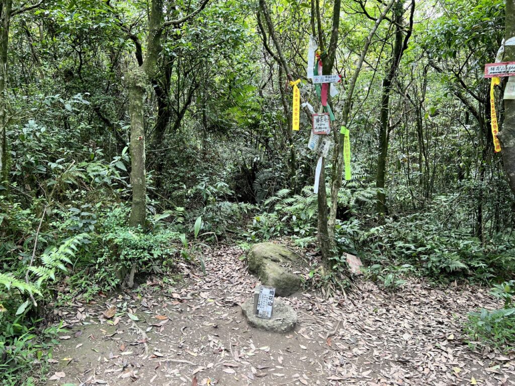 台北大縱走第四段梅花山三角點