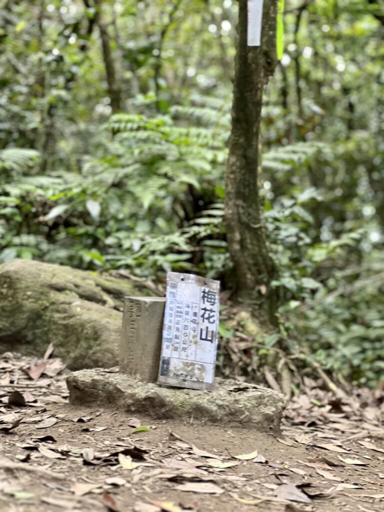 台北大縱走第四段梅花山三角點