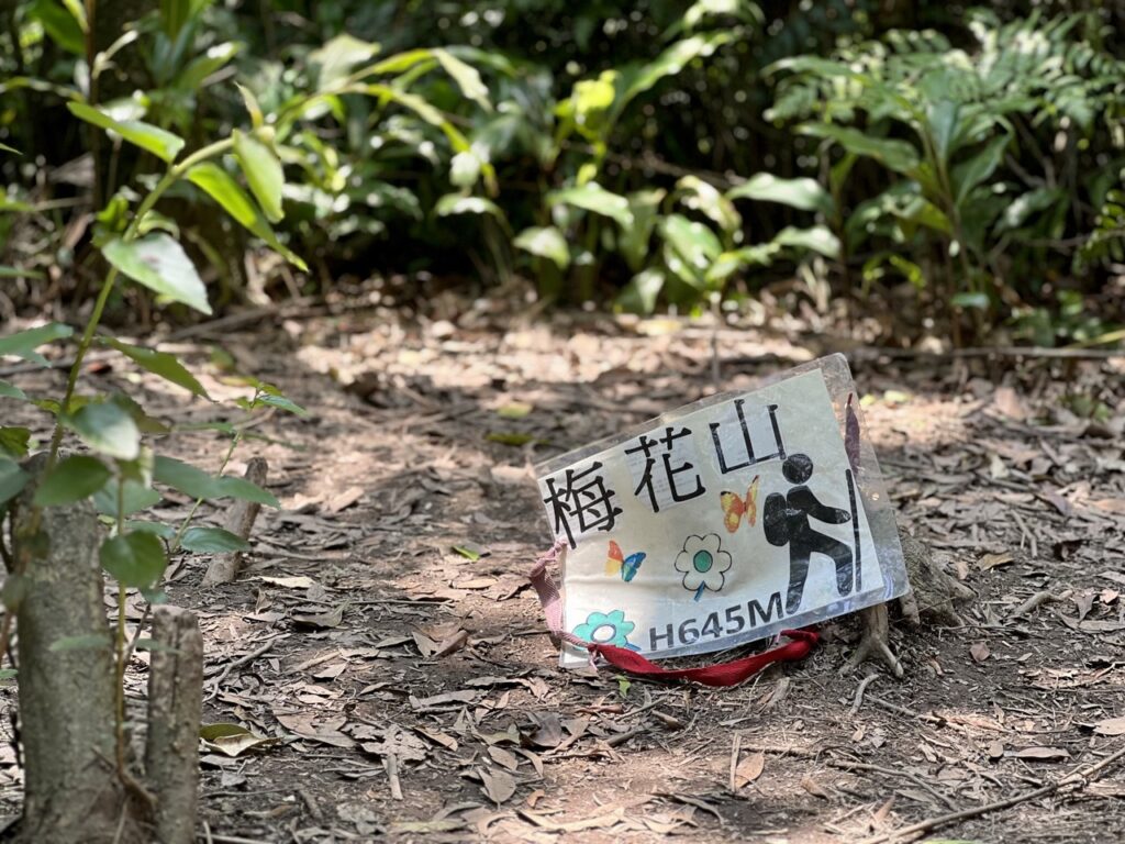 台北大縱走第四段