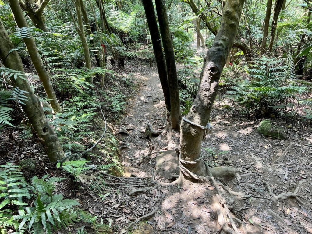 台北大縱走第四段
