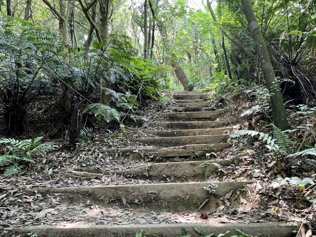 台北大縱走第四段