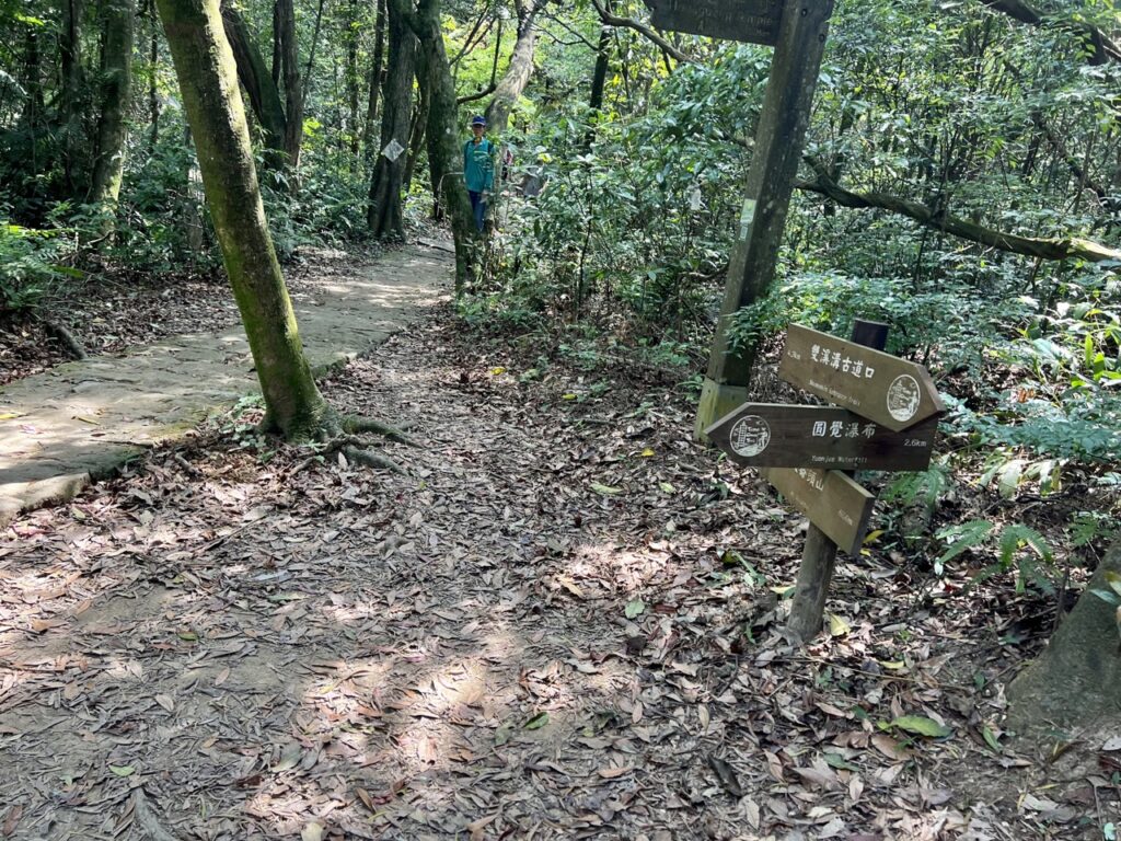 台北大縱走第四段
