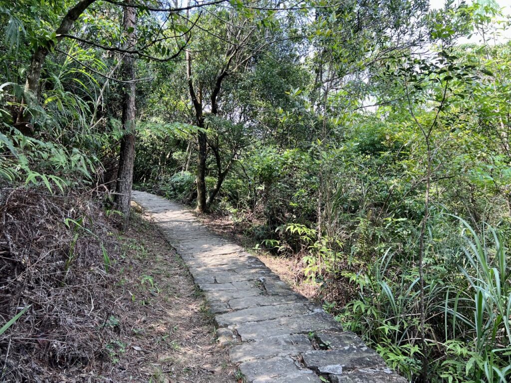 台北大縱走第四段