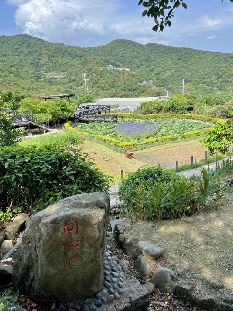 台北大縱走第四段