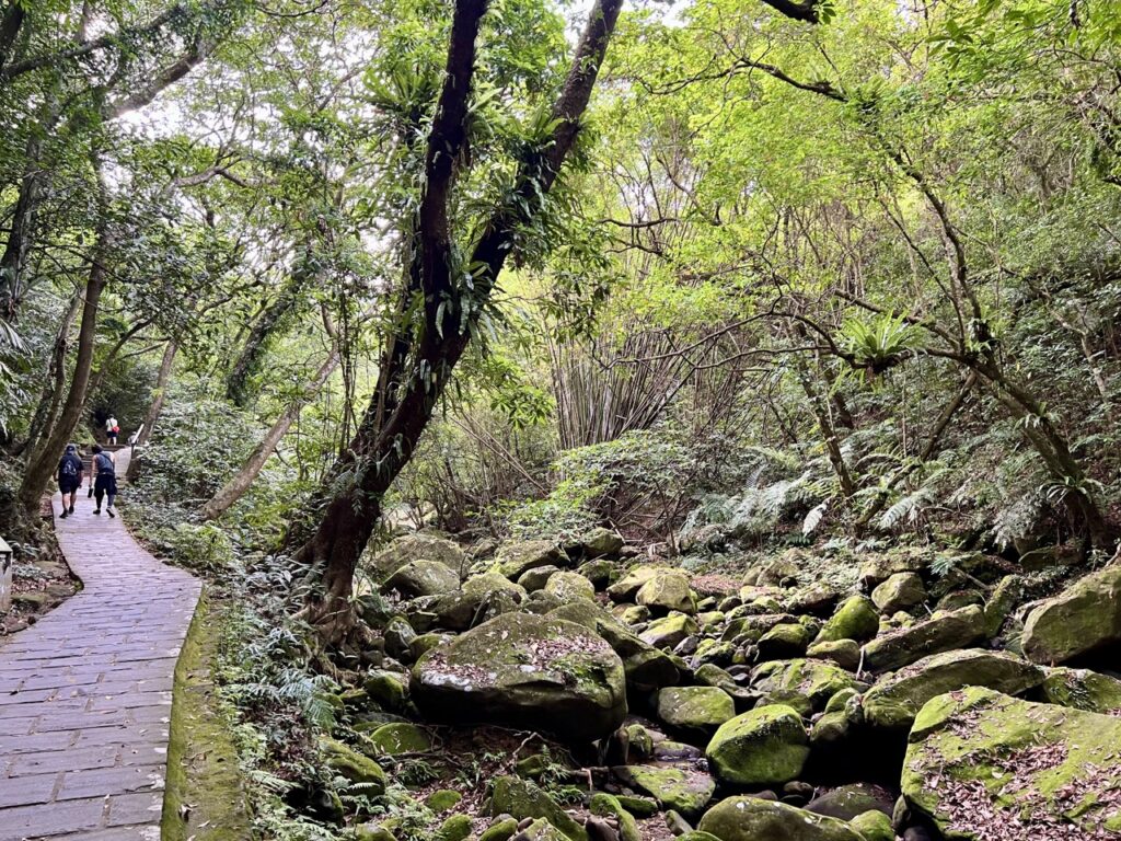 台北大縱走第四段
