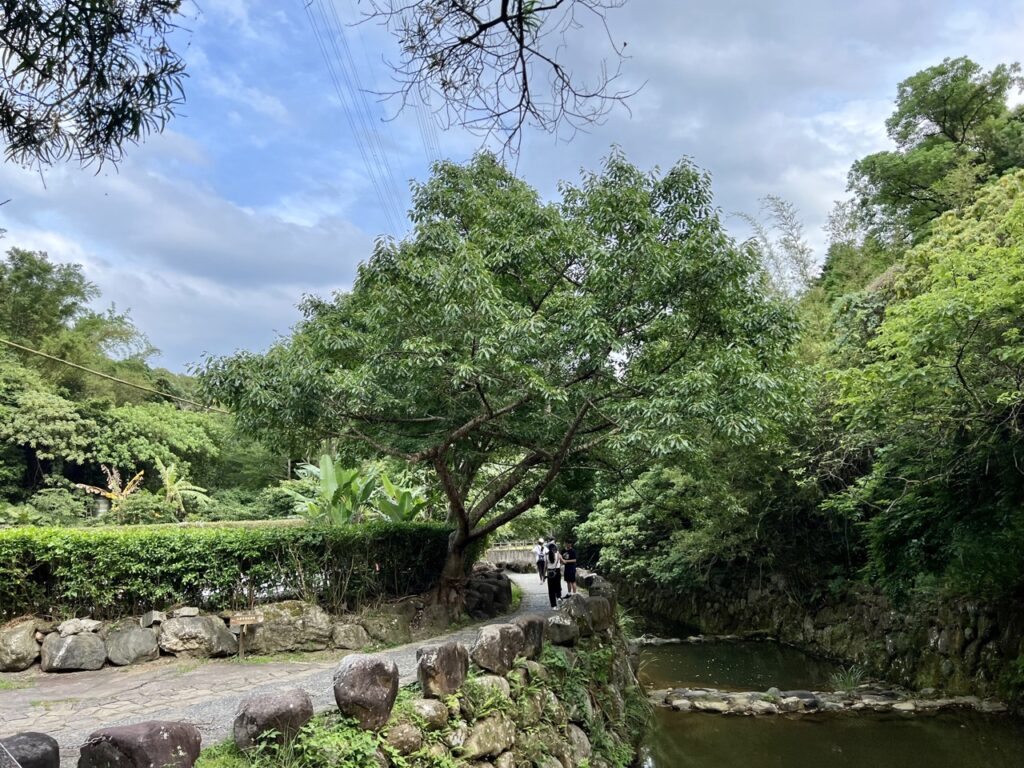 台北大縱走第四段