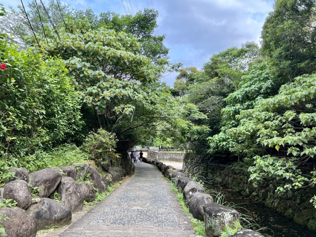 台北大縱走第四段