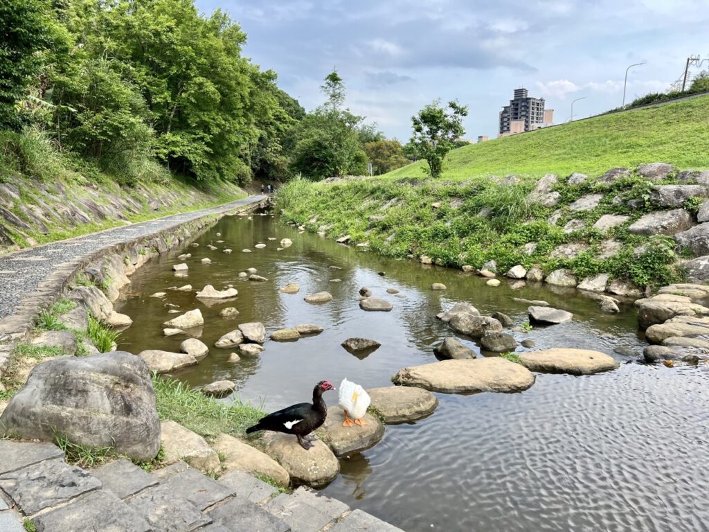 台北大縱走第四段